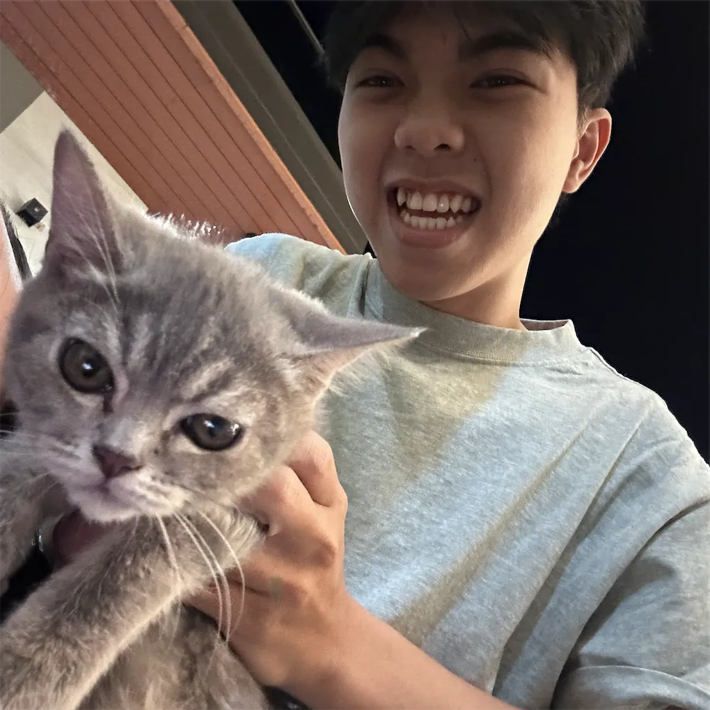 Hình ảnh làm việc
